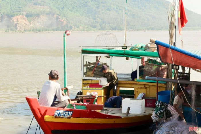 Từ đầu tháng 6 đến nay, ngư dân Hà Tĩnh đã đánh bắt được gần 300 tấn hải sản.