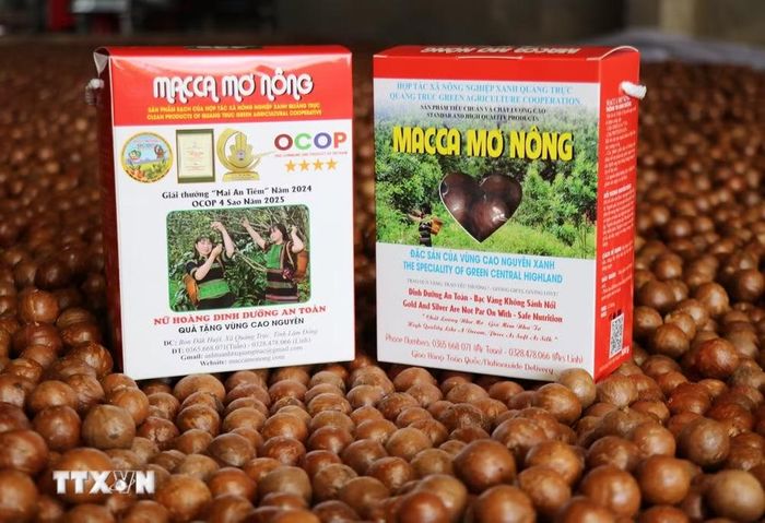 Sản phẩm Hạt mắcca Mơ Nông đạt chứng nhận OCOP 4 sao của Hợp tác xã Nông nghiệp xanh Quảng Trực góp phần xây dựng thương hiệu nông sản xã vùng biên Quảng Trực, tỉnh Lâm Đồng. (Ảnh: Nguyễn Huy Thành/TTXVN)