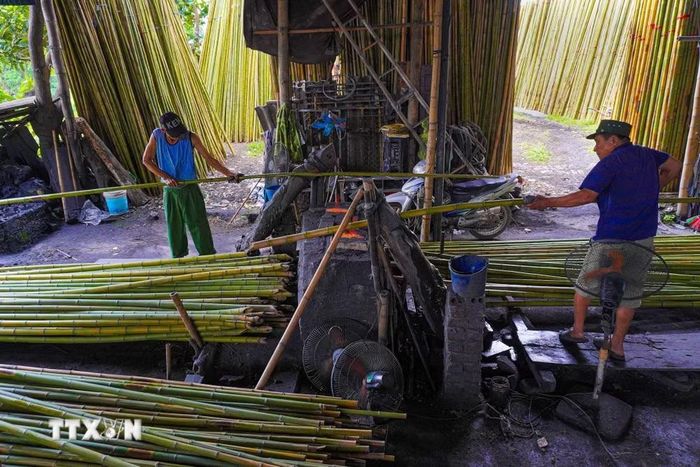 Tre trúc được vớt lên, lau sạch, rồi cạo bỏ phần vỏ ngoài trước khi đem phơi khô tự nhiên để chuẩn bị cho công đoạn tiếp theo. (Ảnh: Hà Anh/ TTXVN phát)