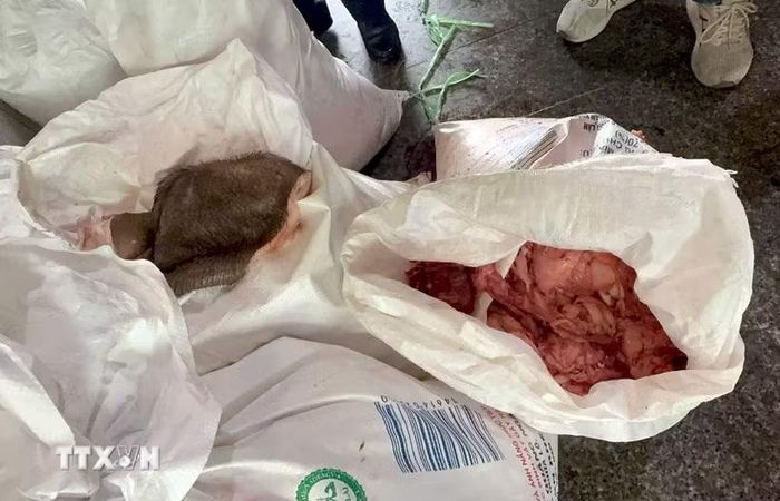 Lực lượng chức năng kiểm tra số mỡ, da động vật không rõ nguồn gốc tại cơ sở chế biến thực phẩm ở phường Quy Nhơn, tỉnh Gia Lai. (Ảnh: Nhật Minh/TTXVN)