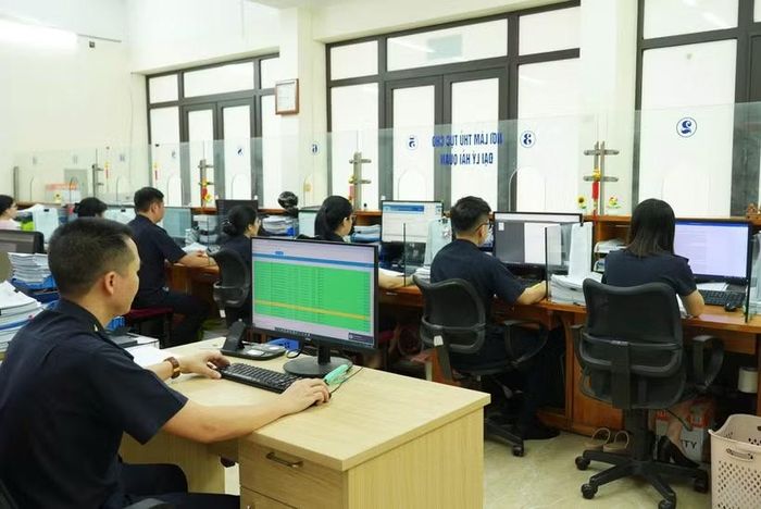 Chuyển đổi quản lý đại lý hải quan theo tiêu chuẩn mới. (Ảnh: Vietnam+)