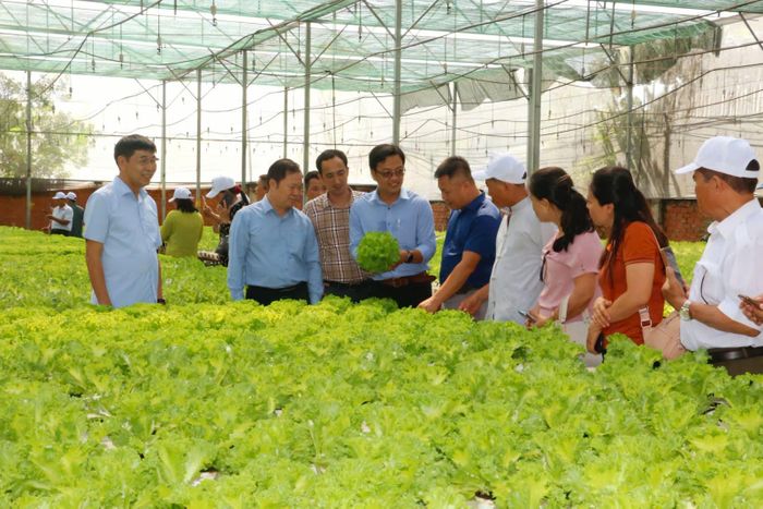 Các đơn vị, nông dân đến học tập kinh nghiệm và tham quan mô hình sản xuất nông nghiệp xanh của HTX Tuấn Ngọc.