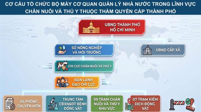 Cơ cấu tổ chức bộ máy Cơ quan quản lý Nhà nước trong lĩnh vực Chăn nuôi và Thú y thuộc thẩm quyền cấp Thành phố.