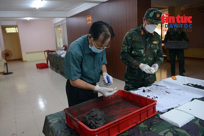 Bác sĩ Trần Văn Bản tỉ mỉ làm sạch, phân loại, lưu mẫu.