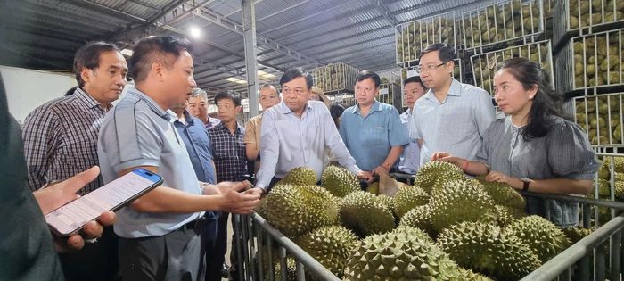Thứ trưởng Bộ Nông nghiệp và Môi trường Nguyễn Hoàng Hiệp khảo sát thực tế tại tỉnh Đắk Lắk.