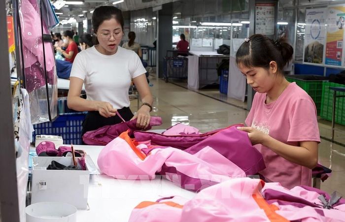 May hàng xuất khẩu sang thị trường EU tại Công ty May TNG (Thái Nguyên). Ảnh tư liệu: Trần Việt - TTXVN
