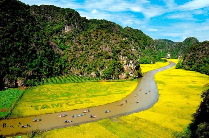 Mùa lúa chín vàng ở Tam Cốc