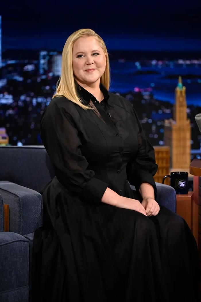 Amy Schumer cũng khép lại cuộc hôn nhân với đầu bếp Chris Fischer sau gần 8 năm chung sống.