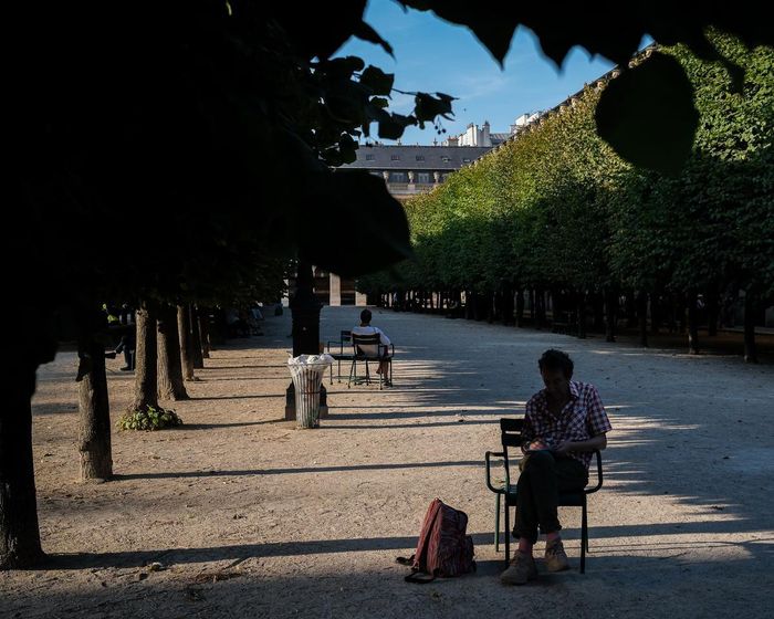 Một người ngồi dưới bóng cây trong Vườn Palais-Royal ở Paris.