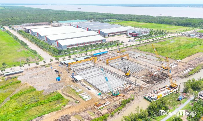 6 tháng đầu năm, tỉnh Đồng Tháp có 1.837 doanh nghiệp thành lập mới.