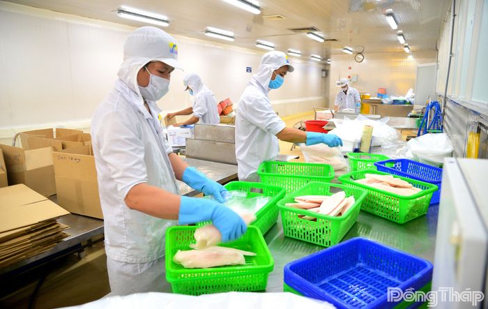Nhiều doanh nghiệp trên địa bàn tỉnh đẩy mạnh sản xuất, xuất khẩu sang thị trường nước ngoài, đóng góp tích cực cho ngân sách tỉnh