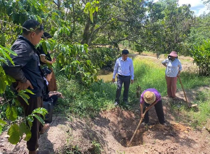 Cán bộ Ban Xây dựng Đảng xã Đức Cơ hướng dẫn hộ dân làng Ấp trồng cà phê giống mới. Ảnh: M.L