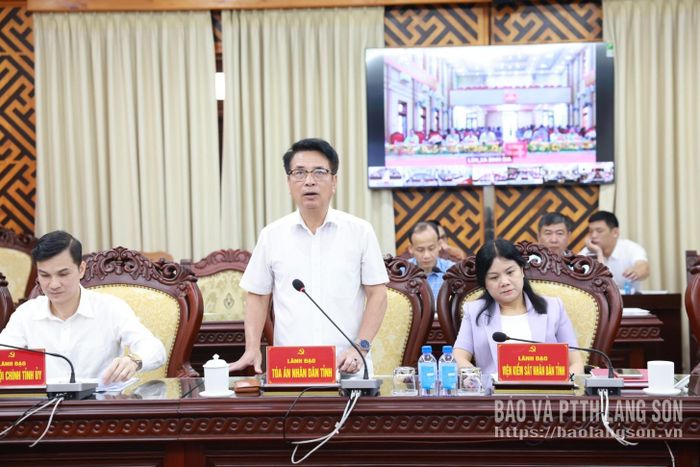 Lãnh đạo Tòa án Nhân dân tỉnh phát biểu tại hội nghị