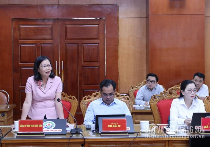 Đại diện Công ty TNHH VSIP Lạng Sơn phát biểu tại cuộc họp