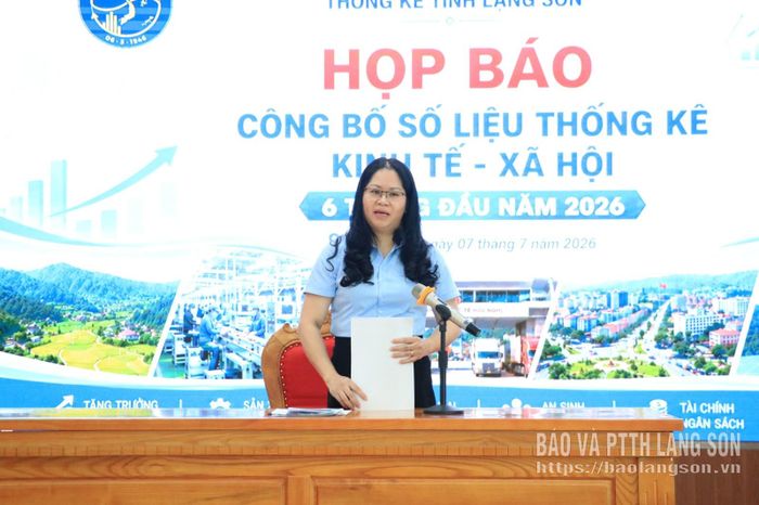 Lãnh đạo Thống kê tỉnh làm rõ thêm một số nội dung tại buổi họp báo