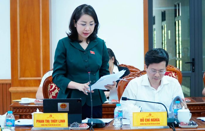 Các đại biểu phát biểu tại buổi làm việc.