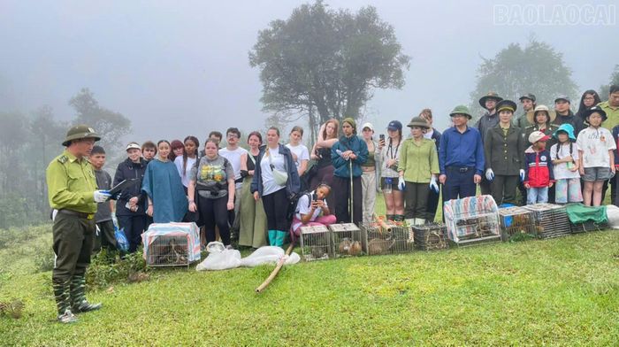 Du khách quốc tế tham quan, theo dõi hoạt động tái thả động vật hoang dã về môi trường tự nhiên tại Vườn Quốc gia Hoàng Liên.
