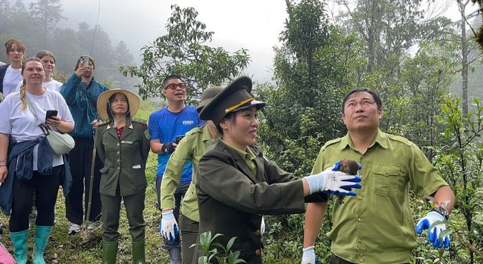 Cá thể động vật hoang dã được tái thả tại khu vực có sinh cảnh phù hợp với loài.
