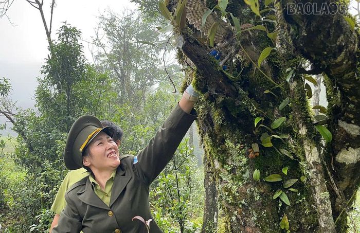 Tái thả động vật hoang dã về môi trường tự nhiên, góp phần bảo tồn đa dạng sinh học.