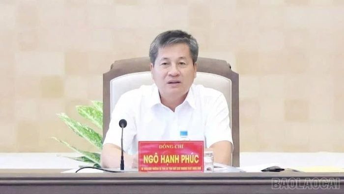 Phó Chủ tịch Thường trực UBND tỉnh Ngô Hạnh Phúc phát biểu kết luận cuộc họp.