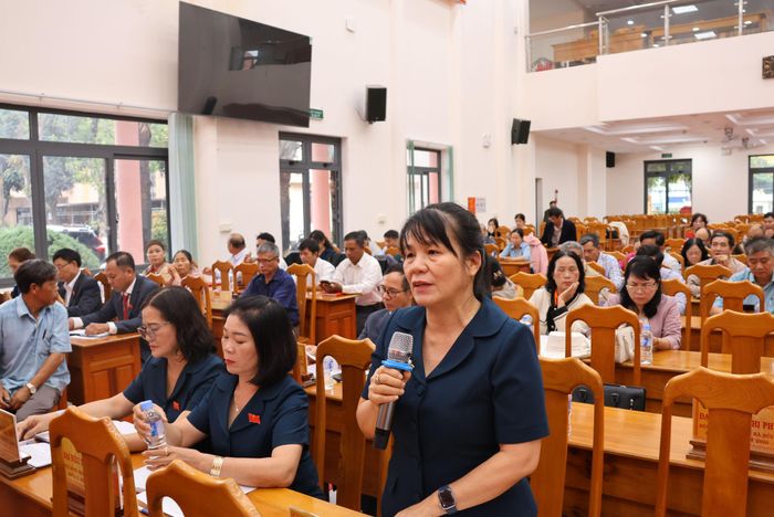Các đại biểu đặt câu hỏi chất vấn