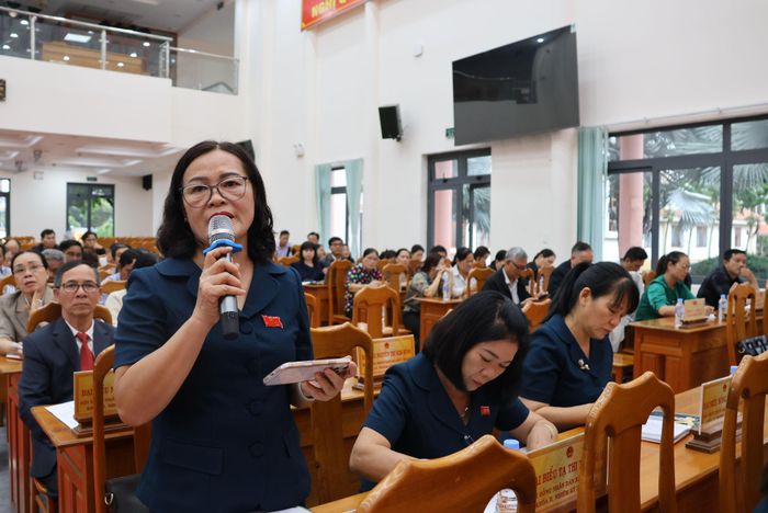 Các đại biểu đặt câu hỏi chất vấn