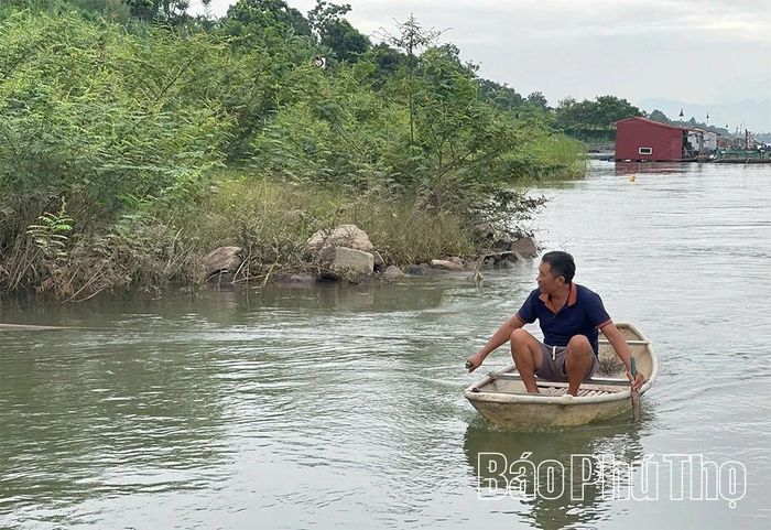 Với những ngư dân sông Đà có kinh nghiệm như anh Dương Tiến Dũng, mỗi loại cá sông Đà đều có vị riêng và cách chế biến độc đáo, khó quên.