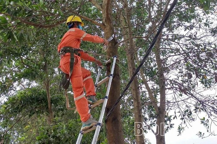 Cán bộ Điện lực Tam Đảo cắt tỉa cây xanh, đảm bảo an toàn hành lang lưới điện.