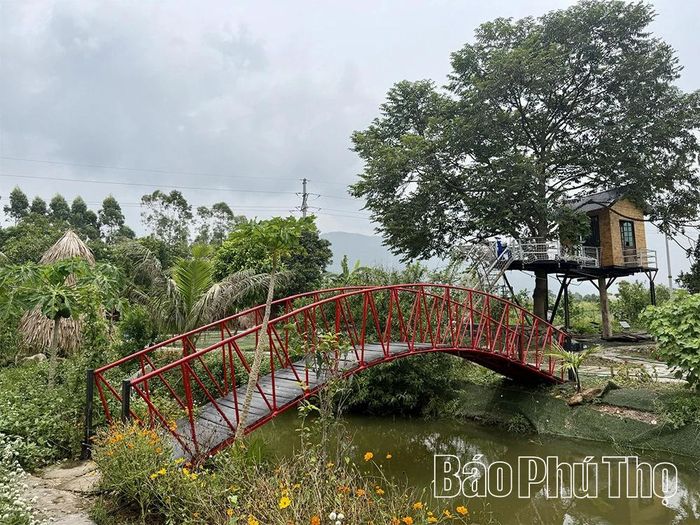 Farm Tam Đảo tiếp tục mở rộng không gian để du khách trải nghiệm các hoạt động nông nghiệp.