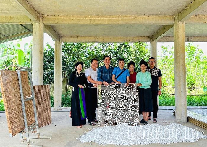 HTX Nấm Tam Đảo thu mua sản phẩm cho các hộ liên kết trồng dâu, nuôi tằm tại xã Phúc Khánh, tỉnh Lào Cai.