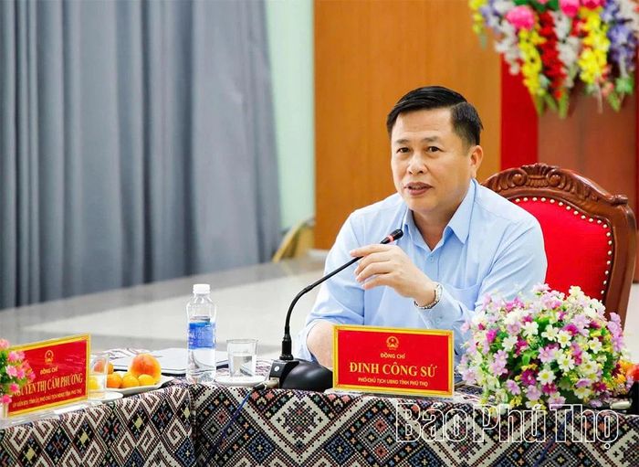 Phó Chủ tịch UBND tỉnh Đinh Công Sứ phát biểu tại buổi làm việc.