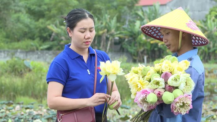 Anh Phan Thanh Sơn (bên phải) với mô hình sen - Ảnh: N.T 