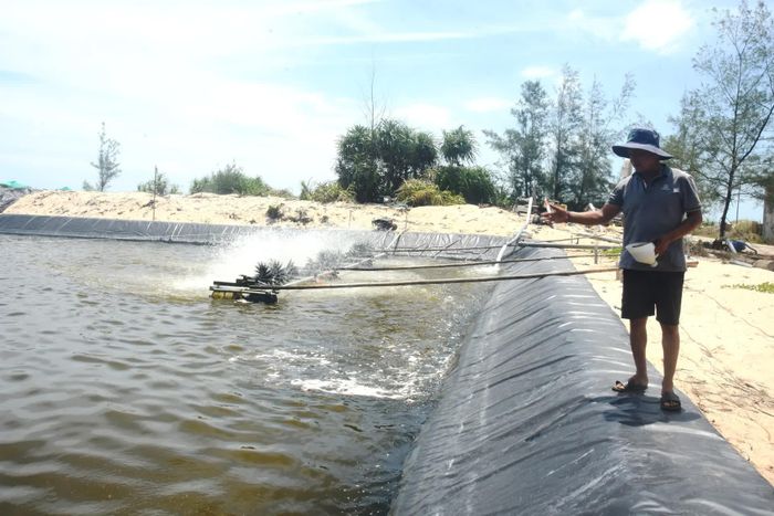 Mô hình nuôi cá kình đã mang lại thu nhập tiền tỉ cho gia đình ông Đặng Minh Đức ở thôn Thuận An - Ảnh: Đ.V