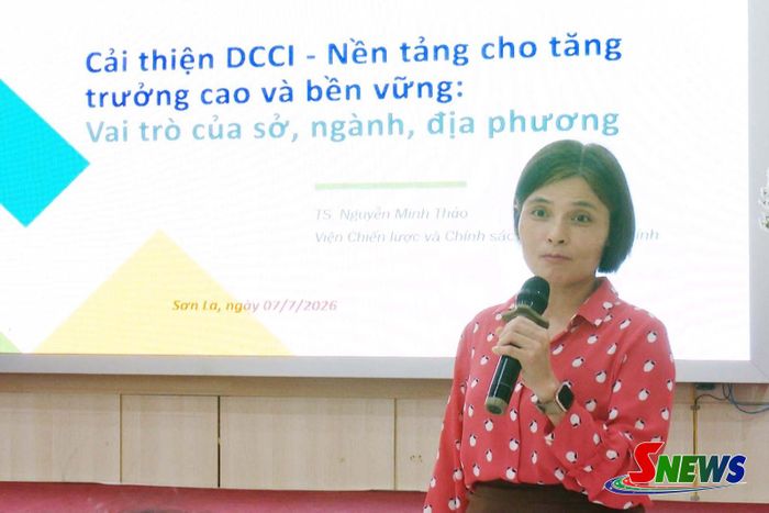 Chuyên gia Economica Việt Nam tổng quan về DCCI và vai trò của các sở, ban, ngành, địa phương trong cải thiện môi trường đầu tư, kinh doanh.