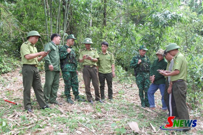 Sử dụng ứng dụng trên thiết bị thông minh để kiểm tra rừng.