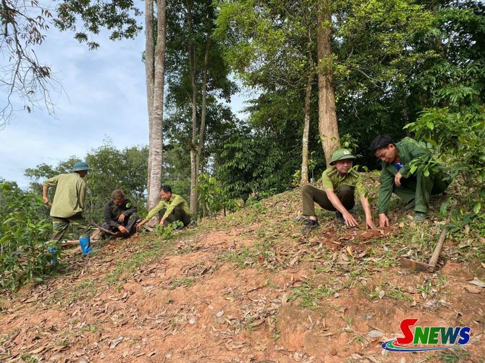 Cán bộ Ban Quản lý Khu rừng đặc dụng Xuân Nha cùng nhân dân trồng rừng.