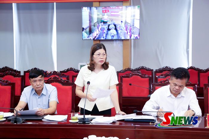 Đồng chí Phó Giám đốc Sở Tài chính phát biểu tại cuộc làm việc.