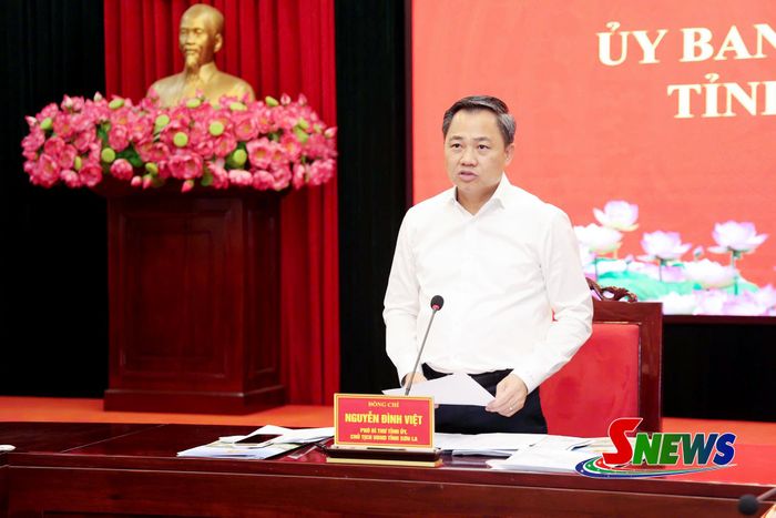 Đồng chí Chủ tịch UBND tỉnh phát biểu tại cuộc làm việc.