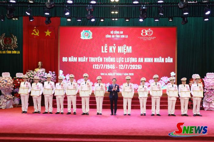 Đồng chí Chủ tịch UBND tỉnh tặng bằng khen cho các cá nhân có thành tích.