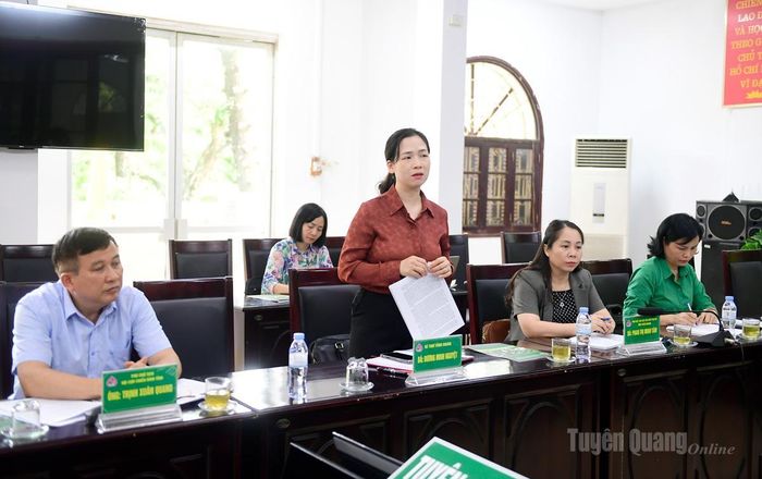 Lãnh đạo Tỉnh đoàn phát biểu tại cuộc họp.
