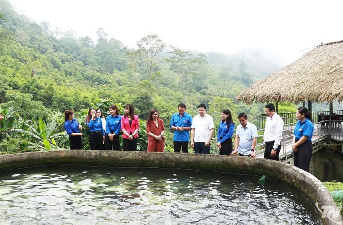 Đồng chí Đinh Quang Tuyên và các đại biểu tham quan mô hình nuôi cá tầm của gia đình anh Đặng Hành Dũng, ở Pù Lầu, thôn Phiêng Phàng, xã Thượng Minh.