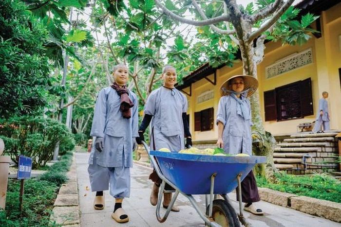 Chư Ni chấp tác trong niềm hoan hỷ
