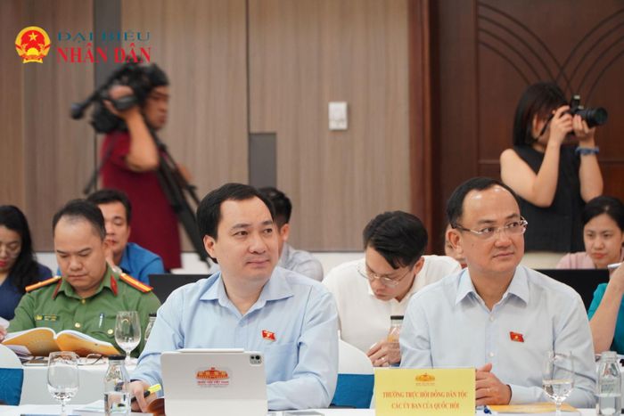 Các đại biểu tham dự Hội nghị