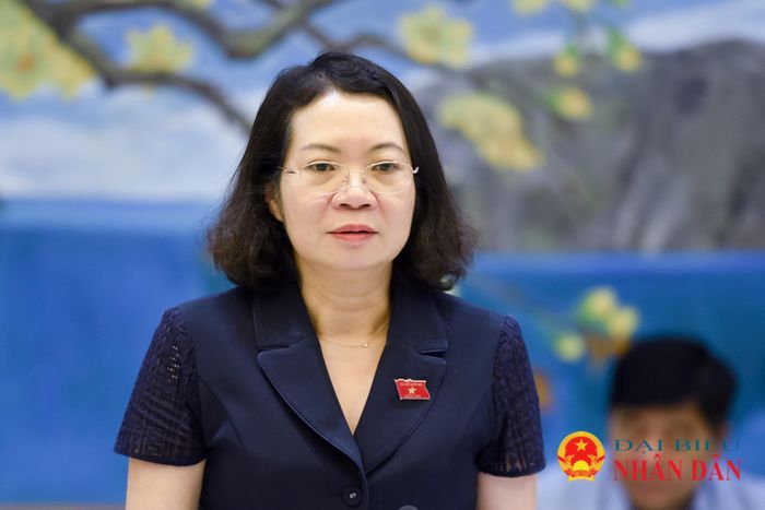 Phó Chủ nhiệm Ủy ban Pháp luật và Tư pháp Mai Thị Phương Hoa phát biểu