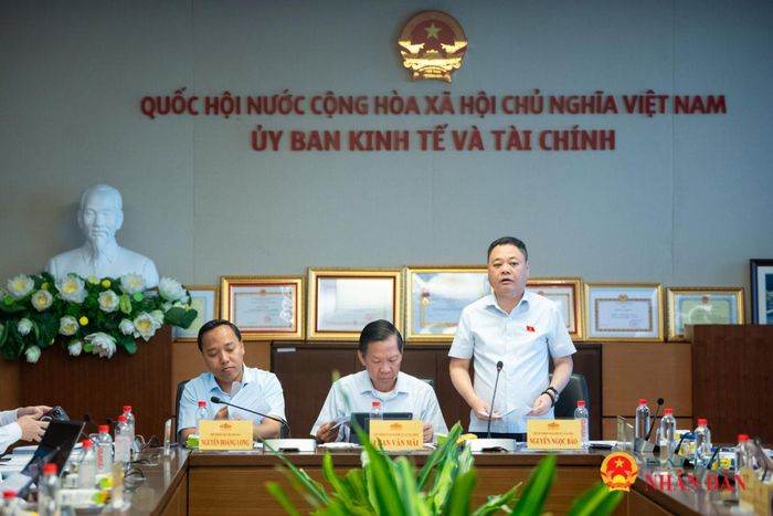 Phó Chủ nhiệm Ủy ban Kinh tế và Tài chính Nguyễn Ngọc Bảo phát biểu