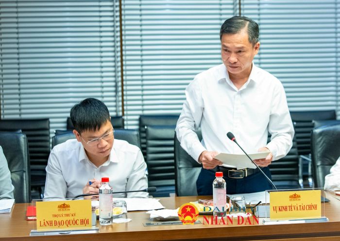 Vụ trưởng Vụ Kinh tế và Tài chính Trần Vũ Thanh phát biểu