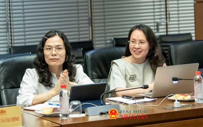 Các đại biểu tham dự cuộc làm việc