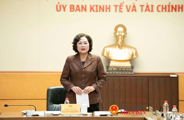 Phó chủ tịch Quốc hội Nguyễn Thị Hồng phát biểu tại cuộc làm việc