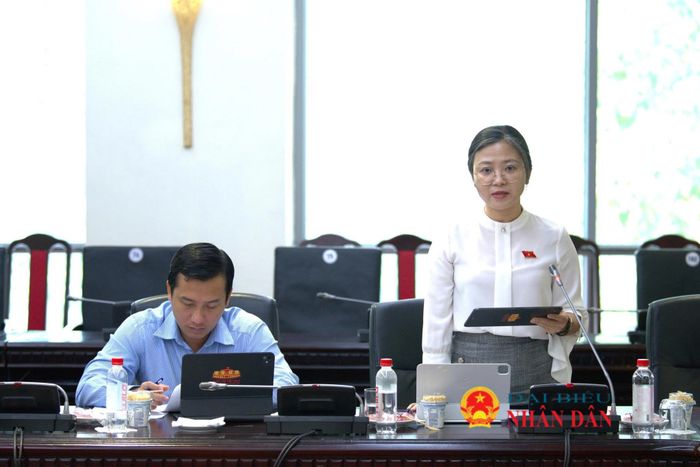 ĐBQH Nguyễn Thanh Ngân (Khánh Hòa) phát biểu