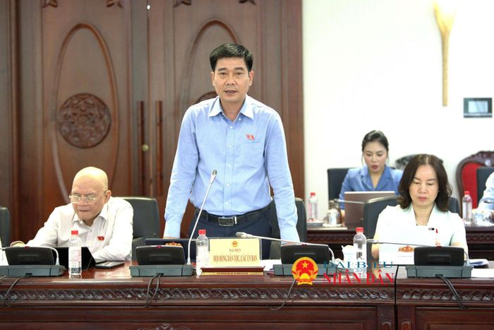 ĐBQH hoạt động chuyên trách tại Ủy ban Pháp luật và Tư pháp Lê Thanh Hoàn phát biểu